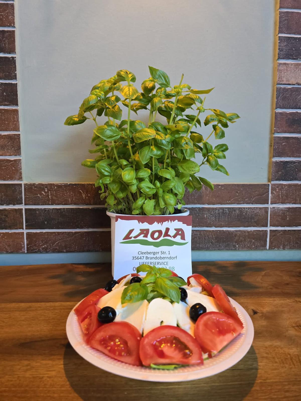 Laola Döner-Pizza – Impression 2